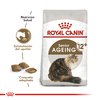 Royal Canin Agein + 12