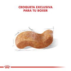 Royal Canin  Boxer 25 adulto en internet