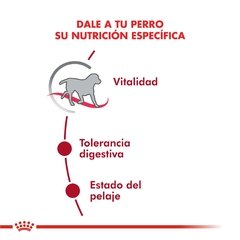 Royal Canin  Medium adulto + 7 - For Pet