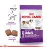 Royal Canin Giant Adult