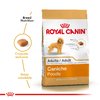 Royal Canin Caniche 30 Adult