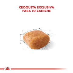 Royal Canin Caniche 30 Adult en internet