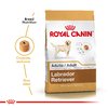 Royal Canin Labrador Retriever 24 Jr