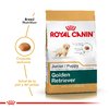 Royal Canin Golden retriever 29 Junior