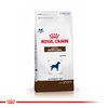 Royal Canin Gastrointestinal Adult