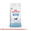 Royal Canin  Mobility large