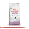 Royal Canin Calm