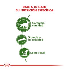 Royal canin Active +7 - comprar online