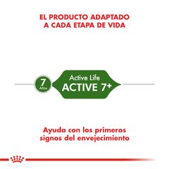 Royal canin Active +7 - For Pet