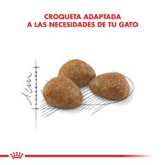 Royal canin Active +7 en internet