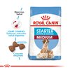 Royal Canin Medium Starter