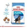 Royal Canin Maxi Puppy