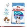 Royal Canin Giant puppy