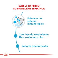 Royal Canin Giant Junior - For Pet