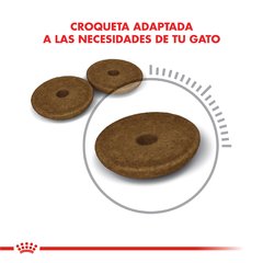 Royal canin Digestive Care en internet