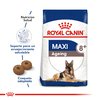 Royal Canin Maxi ageing +8