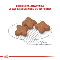 Royal Canin Mini adulto + 8 en internet