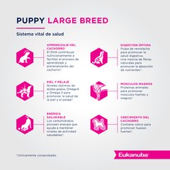 Eukanuba Puppy Large Breed - For Pet