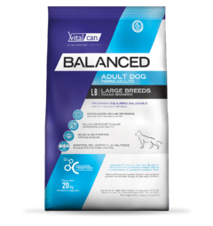 Vital Balanced Perro adulto senior Raza grande x 15k