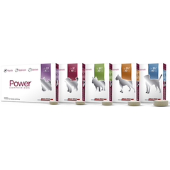 Power Comprimidos antipulgas