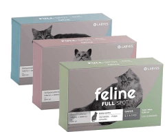 Feline fullspot gatos
