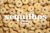 Imagem do banner rotativo 7