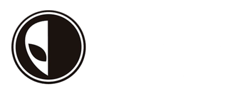 Evolution Skateshop - Loja de Skate, Roupa de Skatista e Mais