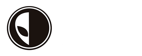 Evolution Skateshop - Loja de Skate, Roupa de Skatista e Mais