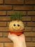 Amigo Verde - Boneco de Alpiste que Cresce o Cabelo - Brilha Brilha Estrelinha - Brinquedos Educativos para Crianças