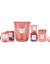 VELA POTE DE VIDRO 1 PAVIO BLACKBERRY ROSE OUD - VOLUSPA na internet