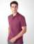POLO PIMA CLASSICA - RICARDO ALMEIDA - comprar online