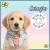 Combo Sortido Bandanas Pet Viés 100% - Bobbie Goods - 10 - 50 ou 100 und. - comprar online