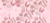 Linha Rosa  🩷💋