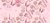 Linha Rosa  🩷💋