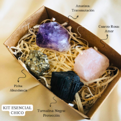 KIT ESENCIAL CHICO - comprar online
