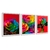 Quadro Decorativo Trio Rosas Coloridas Kit 3 Telas
