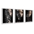 Quadros Decorativos Arte Moderna Gold Kit 3 Telas