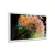 Quadro Decorativo Dente De Leão Colorido
