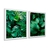 Quadros Decorativos Folhas Verde Kit 2 Telas