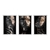 Quadros Decorativos Arte Moderna Gold Kit 3 Telas - comprar online