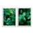 Quadros Decorativos Folhas Verde Kit 2 Telas - comprar online