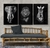 Quadro Decorativo Leão, Zebra, Elefante Animais africanos - Kit 3 Telas - Wit Decor | Papel de parede, Quadros decorativos e adesivos