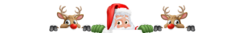 Banner de la categoría NAVIDAD - AÑO NUEVO
