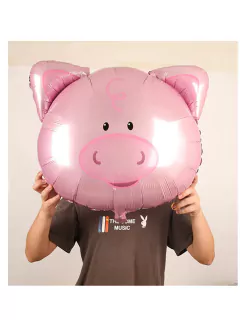 Chancho cabeza 80 cm aprox