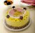 5 un Embalagem de bolo de 1,7Kg G50MA - bolo vulcão, alto, caseiro