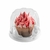 10 Embalagem Mini panetone G690 Mini Bolo e cupcake - copos bolha