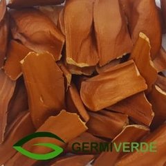 Mogno Brasileiro - Swietenia macrophylla (50g) - comprar online