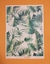 LAMINA AUTOADHESIVA 35X25CM BOTANICA3