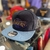 GORRA BASQUET NBA NEW ERA LA