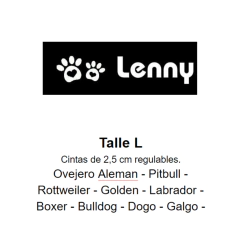 Combo Collar + Pretal + Correa Nesta - tienda online